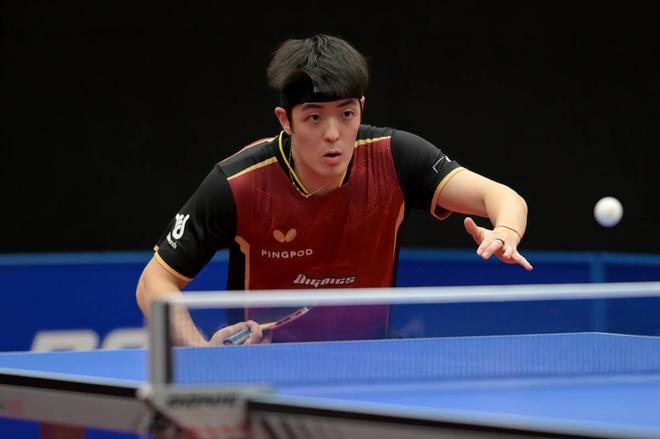 不仅体现了 不仅体现了